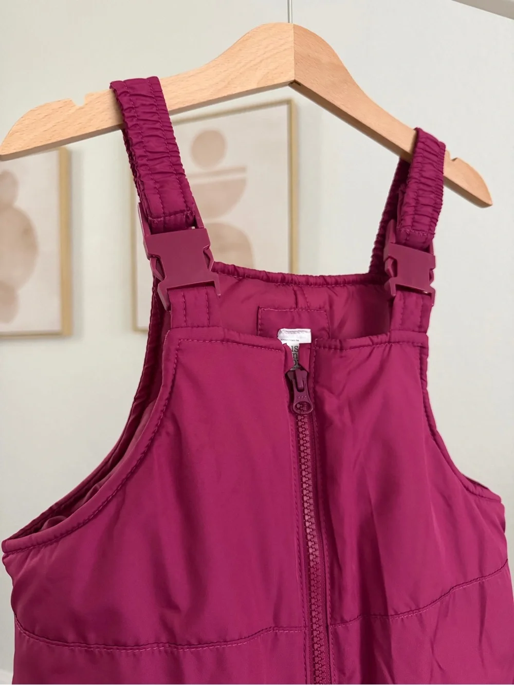 Carter’s Berry Snow Bib Overalls